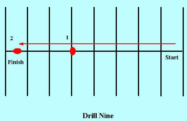 Figure 9 - Quick Stop in a Straight Line